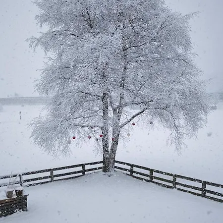 Appartamento Haustiptop *