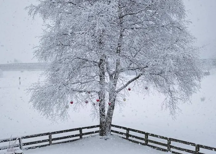 Apartmán Haustiptop *